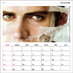 hayden calendar 2007 november