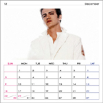 hayden calendar 2007 december