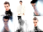 hayden_wallpaper31s